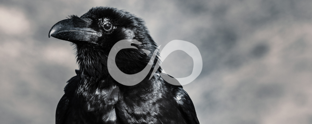 Tout savoir sur le corbeau en magie