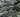 Actinolite