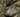 Clinozoïsite