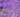 Purpurite