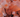 Aragonite