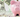 Peut-on utiliser un billet comme support magique ?