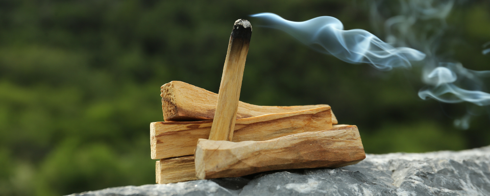 Le palo santo est-il en danger ?