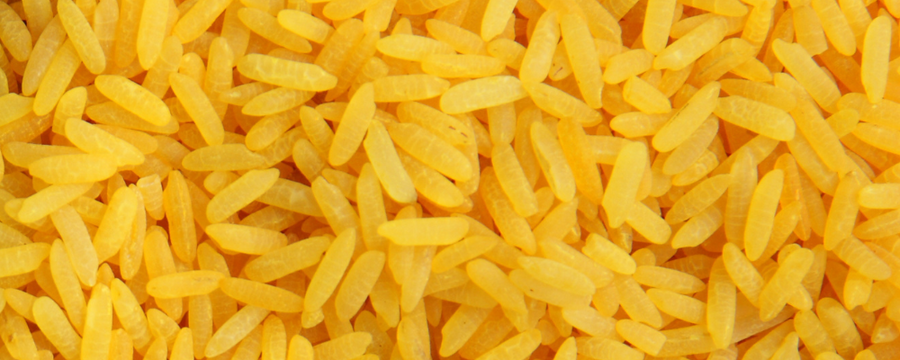 Quand travailler avec le riz magique jaune ?