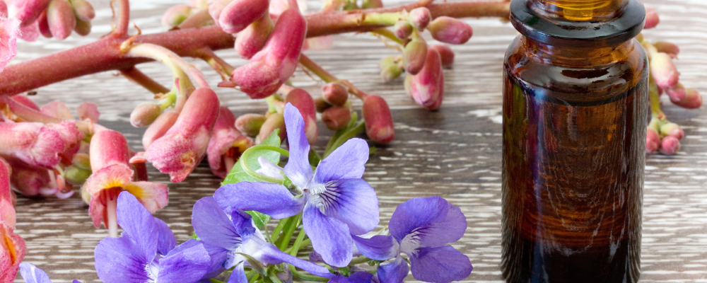Quelle est la différence entre les fleurs de Bach et les élixirs floraux ?