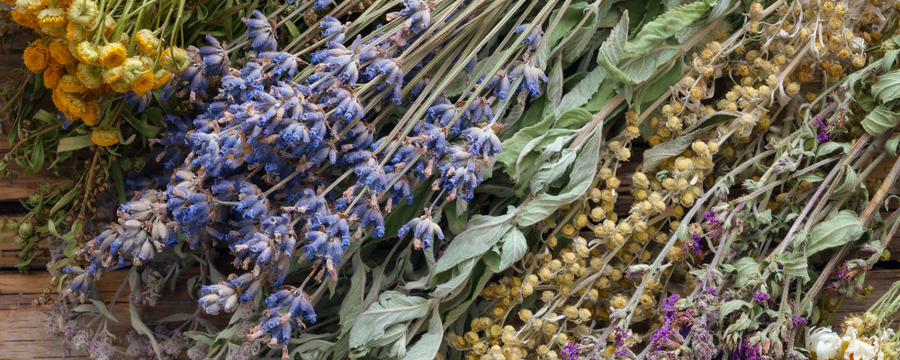 Quelles herbes ou huiles associer à une bougie dagyde ?