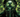 Homme Vert