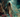 Revenant (le)