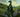 Dragon Celte (le)