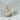 Cristaux de Quartz Aura Pearl - P11 - Aeternum - Cristaux de Quartz Aura Pearl - P11 - Aeternum - Cristaux de Quartz Aura Pearl - P11 - Aeternum - Cristaux de Quartz Aura Pearl - P11 - #esoterisme# - #wicca# - # boutique ésoterisme# - #wicca# - # boutique ésoterisme# - #wicca#