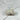 Cristaux de Quartz Aura Pearl - P12 - Aeternum - Cristaux de Quartz Aura Pearl - P12 - Aeternum - Cristaux de Quartz Aura Pearl - P12 - Aeternum - Cristaux de Quartz Aura Pearl - P12 - #esoterisme# - #wicca# - # boutique ésoterisme# - #wicca# - # boutique ésoterisme# - #wicca#