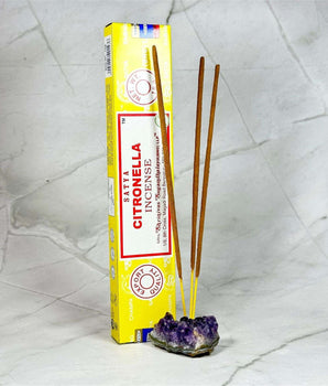 Encens en bâtons Citronnelle - Aeternum - Encens en bâtons Citronnelle - Aeternum - Encens en bâtons Citronnelle - Aeternum - Encens en bâtons Citronnelle - Aeternum - #original_alt_text# - #esoterisme# - #wicca# - #esoterisme# - #wicca# - # boutique ésoterisme# - #wicca# - # boutique ésoterisme# - #wicca#