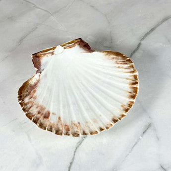 Encensoir coquille Saint-Jacques - Aeternum - Encensoir coquille Saint-Jacques - Aeternum - Encensoir coquille Saint-Jacques - Aeternum - Encensoir coquille Saint-Jacques - Aeternum - #original_alt_text# - #esoterisme# - #wicca# - #esoterisme# - #wicca# - # boutique ésoterisme# - #wicca# - # boutique ésoterisme# - #wicca#