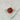 Ensemble Solides de Platon & 7 chakras - Aeternum - Ensemble Solides de Platon & 7 chakras - Aeternum - Ensemble Solides de Platon & 7 chakras - Aeternum - Ensemble Solides de Platon & 7 chakras - Aeternum - #original_alt_text# - #esoterisme# - #wicca# - #esoterisme# - #wicca# - # boutique ésoterisme# - #wicca# - # boutique ésoterisme# - #wicca#