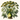 Fenouil (grains) - Aeternum - image - # boutique ésoterisme# - #wicca#