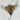 Fève d'Opelé - Aeternum - Fève d'Opelé - Aeternum - Fève d'Opelé - Aeternum - #original_alt_text# - #esoterisme# - #wicca# - #esoterisme# - #wicca# - # boutique ésoterisme# - #wicca#