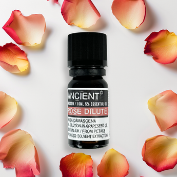 Huile essentielle de Rose (diluée) - Aeternum - Huile essentielle de Rose (diluée) - Aeternum - Huile essentielle de Rose (diluée) - Aeternum - #original_alt_text# - #esoterisme# - #wicca# - #esoterisme# - #wicca# - # boutique ésoterisme# - #wicca#