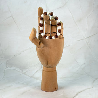 Mala rudraksha & coquillage