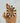 Mala rudraksha & coquillage