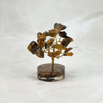Arbre de vie Œil-de-Tigre