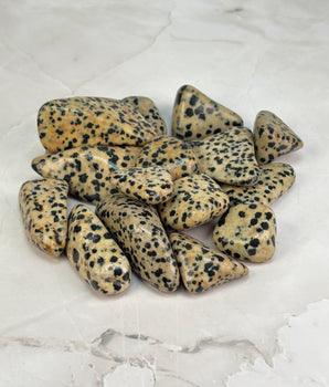Pierre roulée Jaspe Dalmatien