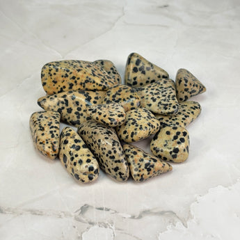 Pierre roulée Jaspe Dalmatien
