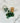 Petite fiole d'Aventurine - Aeternum - Petite fiole d'Aventurine - Aeternum - Petite fiole d'Aventurine - Aeternum - #original_alt_text# - #esoterisme# - #wicca# - #esoterisme# - #wicca# - # boutique ésoterisme# - #wicca#
