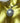 Talisman archange Samaël - Aeternum - Talisman archange Samaël - Aeternum - Talisman archange Samaël - Aeternum - #original_alt_text# - #esoterisme# - #wicca# - #esoterisme# - #wicca# - # boutique ésoterisme# - #wicca#