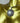 Talisman archange Zadkiel - Aeternum - Talisman archange Zadkiel - Aeternum - Talisman archange Zadkiel - Aeternum - #original_alt_text# - #esoterisme# - #wicca# - #esoterisme# - #wicca# - # boutique ésoterisme# - #wicca#