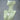 Amulette Sept Archanges