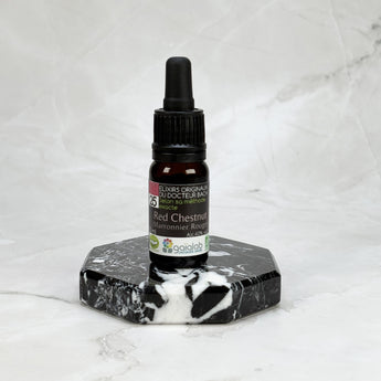 Fleurs de Bach 25 - Marronnier Rouge (Red Chestnut)