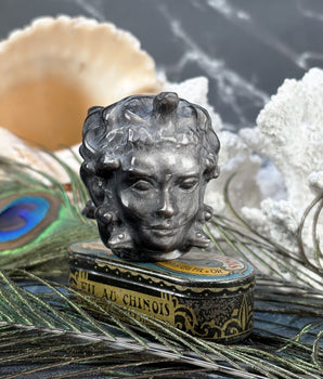 Tête de Médusa en Obsidienne Argentée