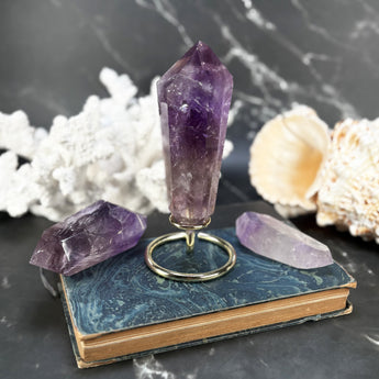 Double pointe Améthyste - P3 (extra)