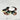 Coquille Œil-de-Chat