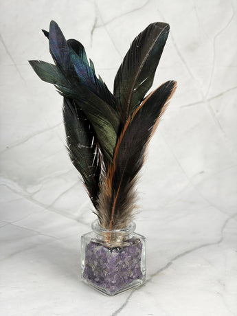 Plume de coq noir