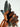 Plume de coq noir