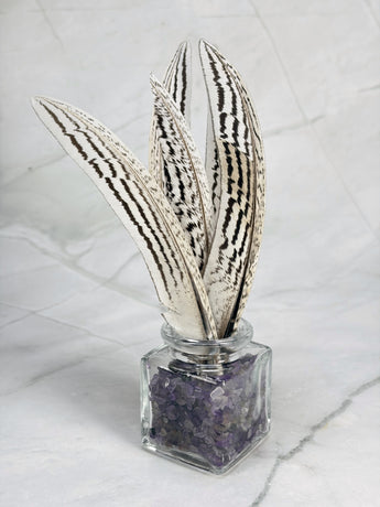 Plume de faisan argentée