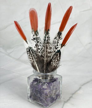 Plume de faisan Lady