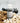 Huile hoodoo Chat Noir / Black Cat oil