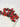 Graines Œil du Diable (pack x10)