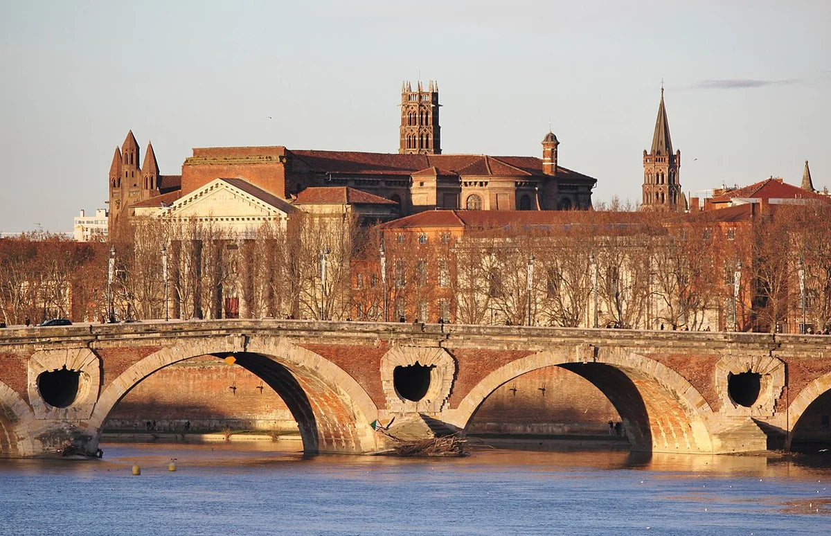 La Garonne et le Pont-Neuf à Toulouse, en Occitanie