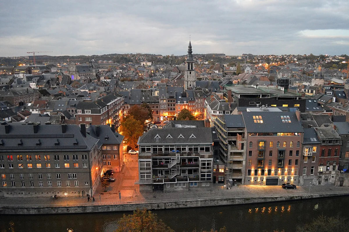 Namur vue depuis la citadelle en soirée, en Wallonie