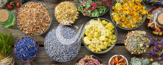 5 herbes magiques à toujours avoir chez soi