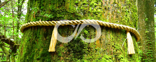 Consacrer un objet rituel