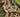 La magie Hoodoo