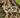 La magie Hoodoo