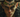 Loki
