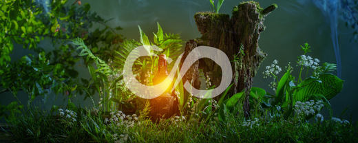 La magie Élémentaire