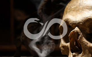 La nécromancie, une histoire des vivants et des morts