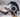 Thoth ou la sagesse du Verbe
